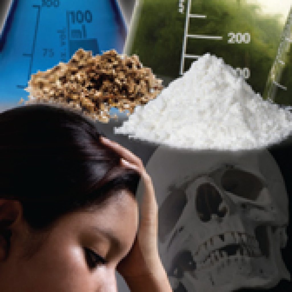 A Parent�s Guide Synthetic Drugs A Parent�s Guide Synthetic Drugs